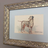 8x10 Dalmatian Framed Antique Art