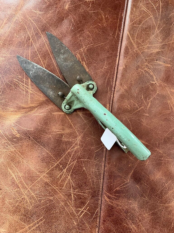 Vintage green Garden shears