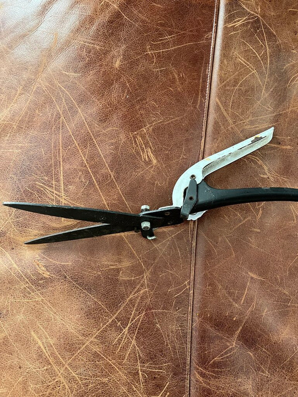 Vintage white garden shears