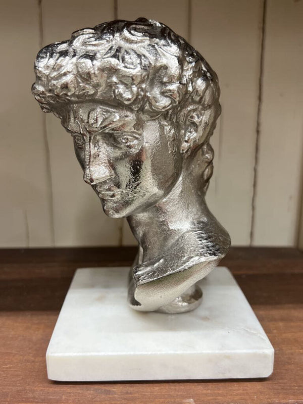 david bust