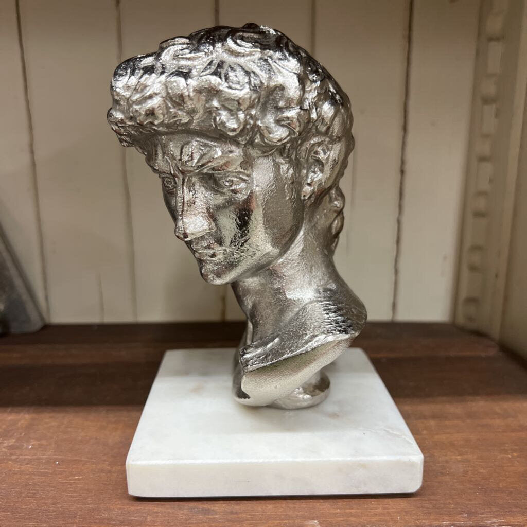 david bust