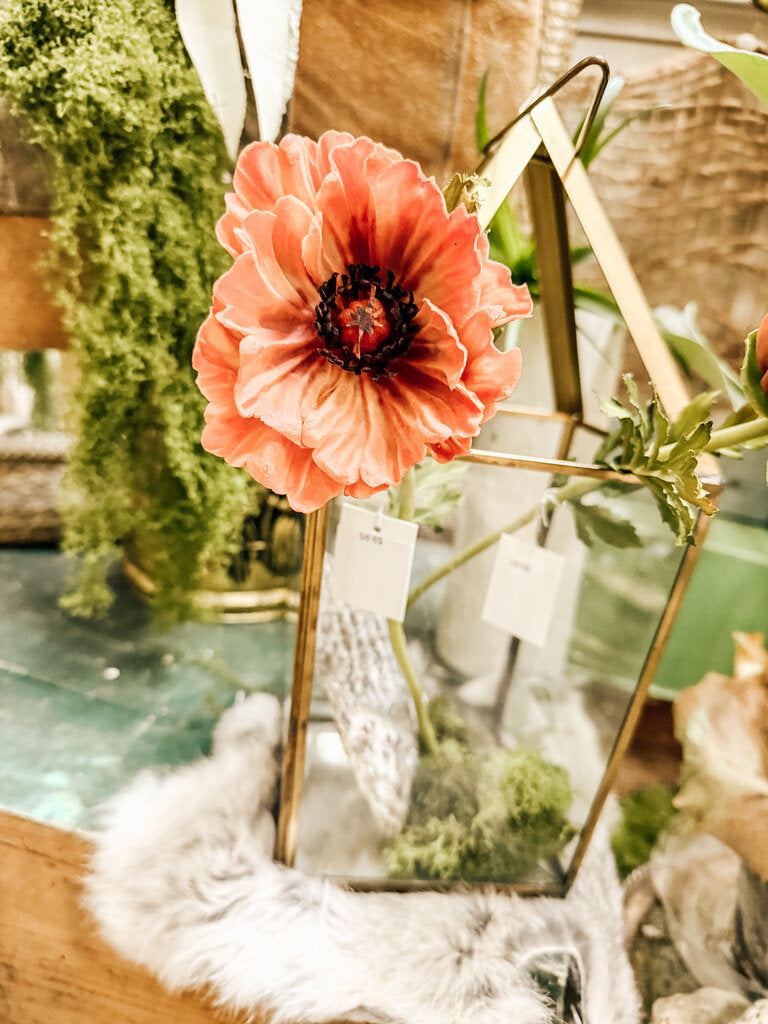 Small poppy stem