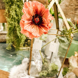 Small poppy stem
