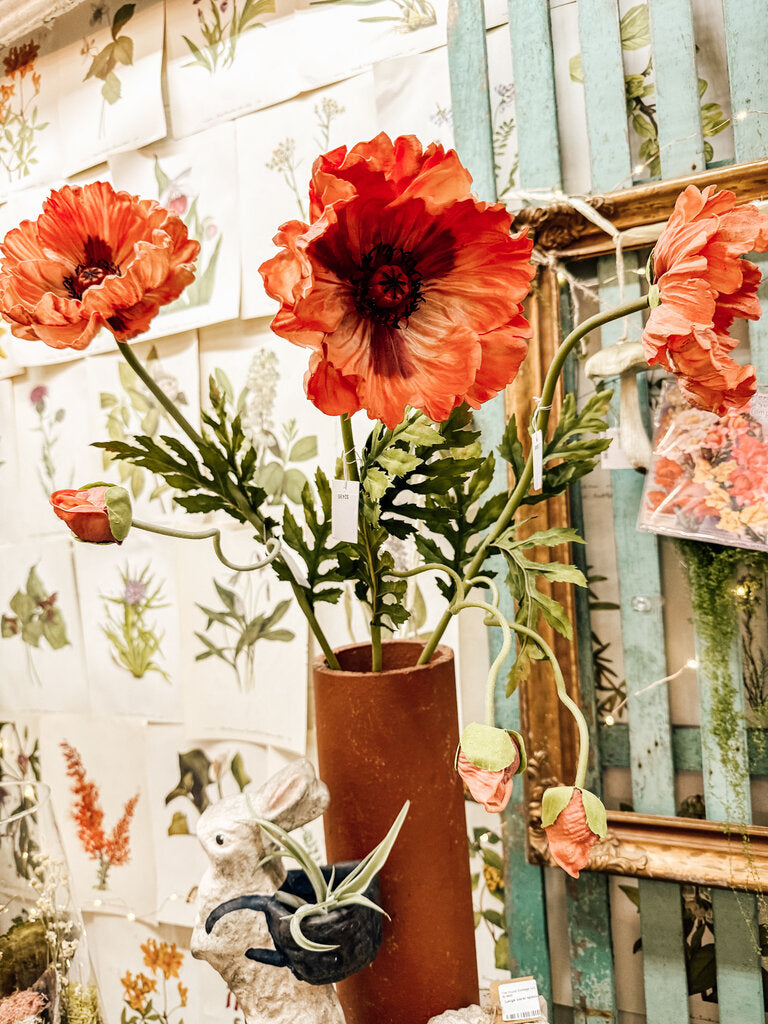 Large poppy stem
