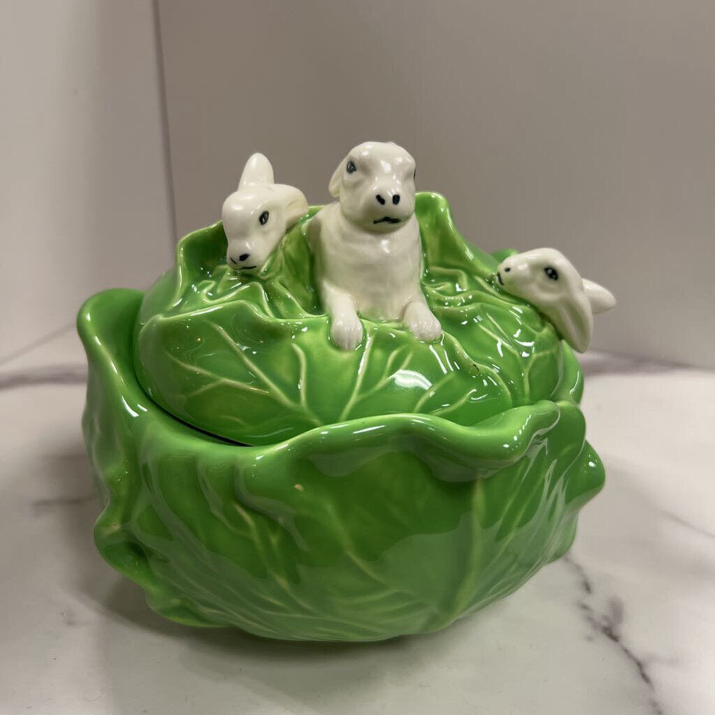light green cabbage with rabbits atop