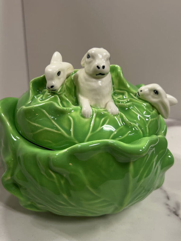 light green cabbage with rabbits atop