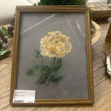 Rose art by Ester