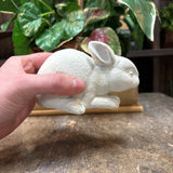 #150 Stone Bunny