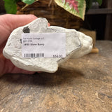 #150 Stone Bunny
