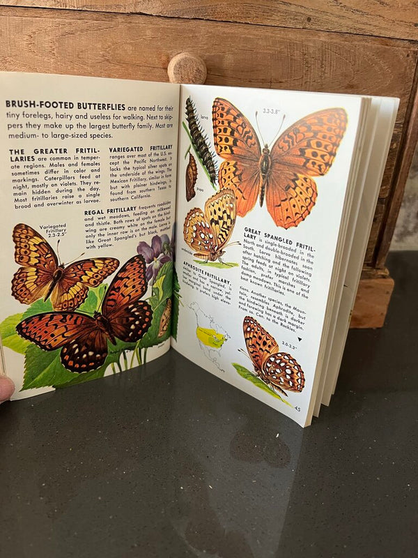 Butterflies+Moths book