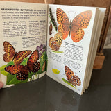 Butterflies+Moths book