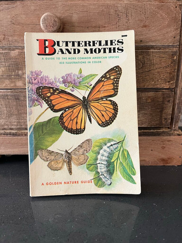 Butterflies+Moths book