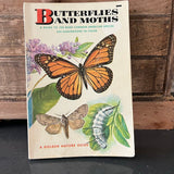Butterflies+Moths book