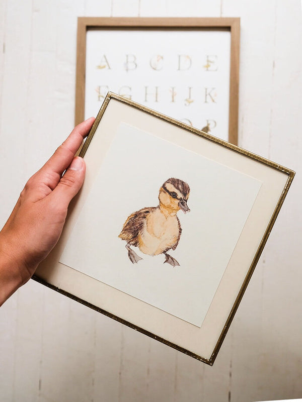 Mallard Ducking Art Print (6x6)