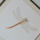 Dragonfly Art Print (6x6)