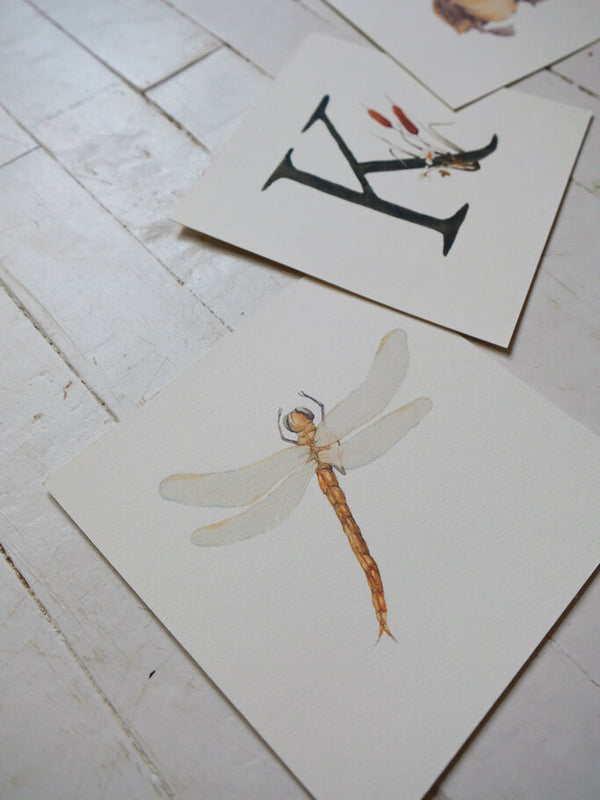 Dragonfly Art Print (6x6)