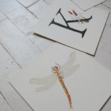 Dragonfly Art Print (6x6)