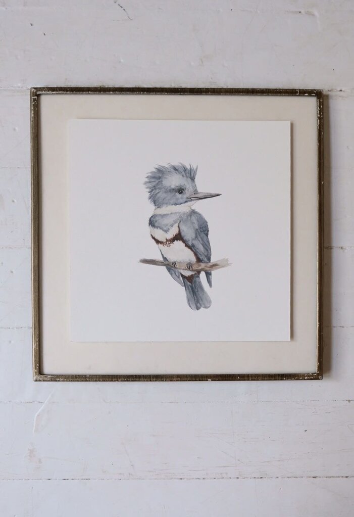 Kingfisher Art Print (6x6)