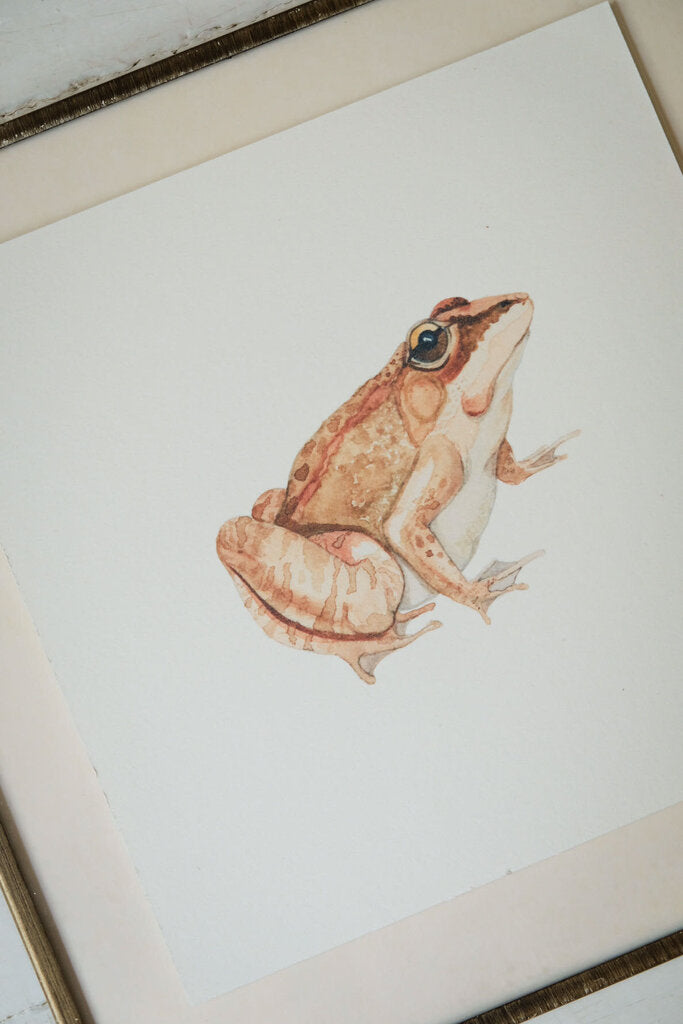 Wood Frog Art Print (6x6)