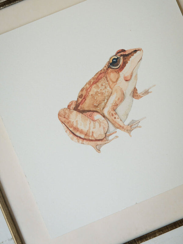 Wood Frog Art Print (6x6)