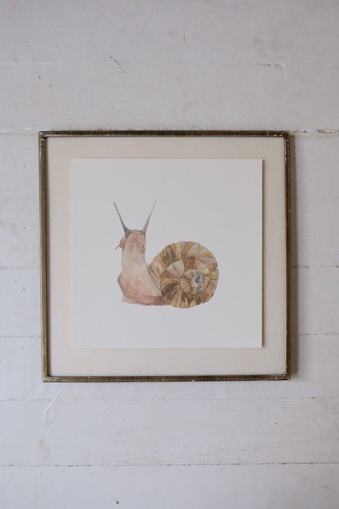 Freshwater Snail Art Print (6x6)