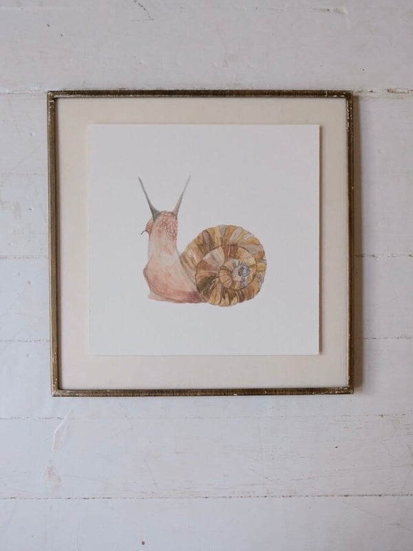 Freshwater Snail Art Print (6x6)