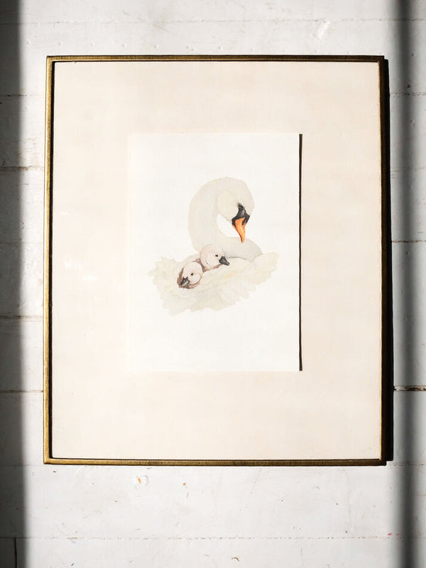 Swan & Cygnets Art Print (5x7)