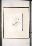 Swan & Cygnets Art Print (5x7)