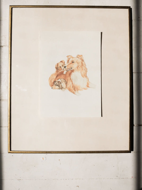 Collie & Pups Art Print (8.5 x 11)