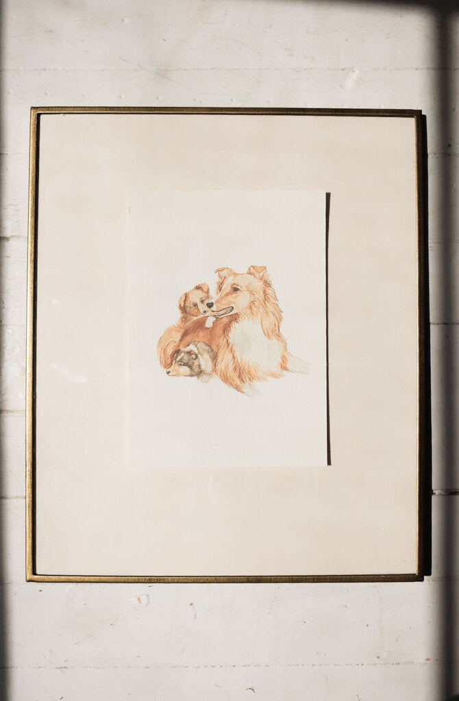 Collie & Pups Art Print (8.5 x 11)