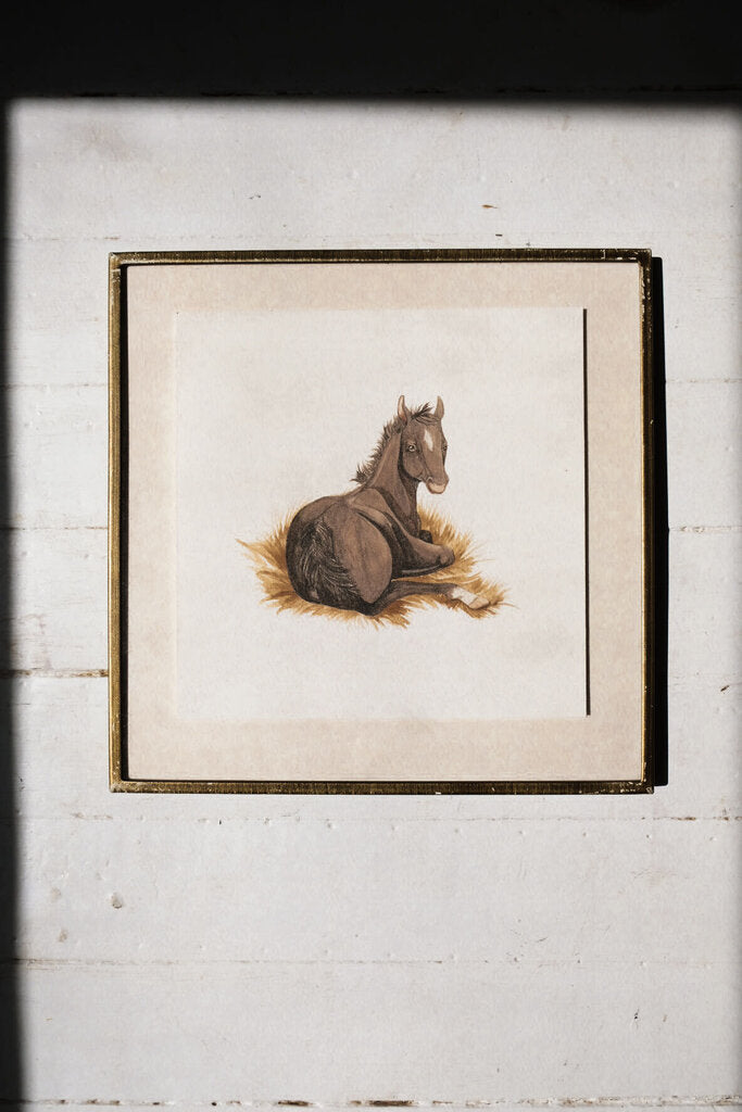 Resting Foal Art Print (6x6)