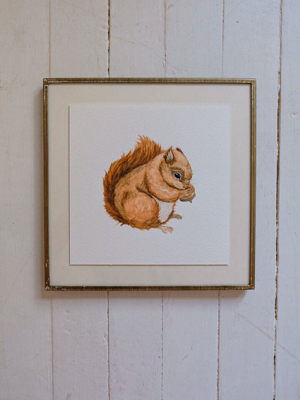 Red Squirrel Art Print (6x6)