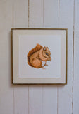 Red Squirrel Art Print (6x6)
