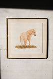 Palomino Mare Art Print (6x6)