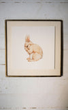 Sleepy Rabbit Art Print (6x6)