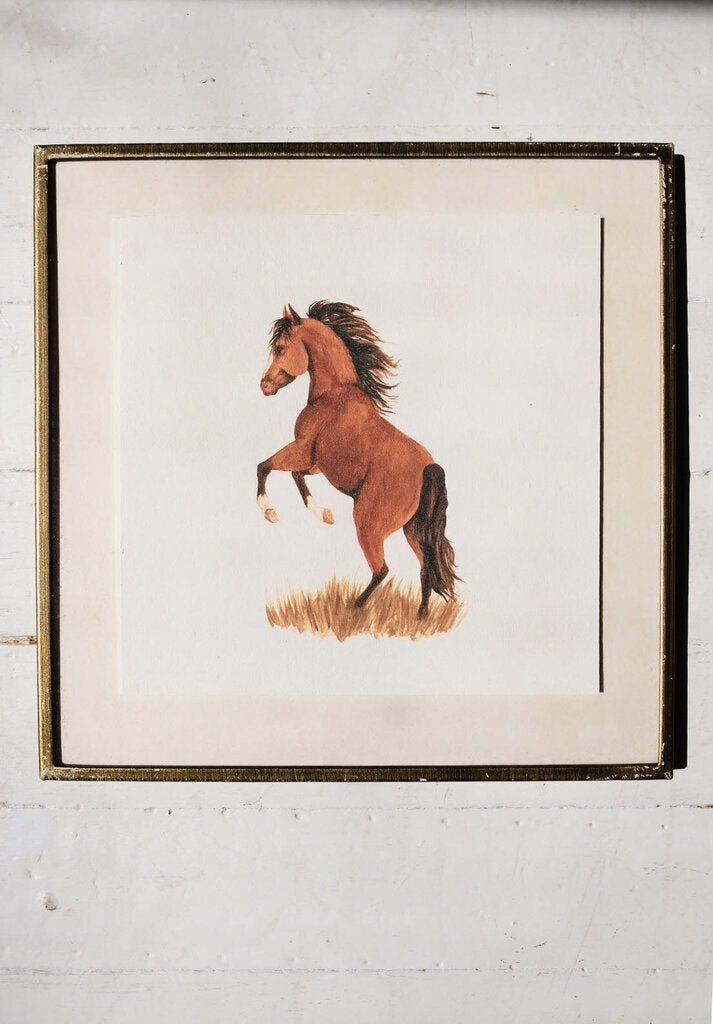 Rearing Bay Art Print (6x6)