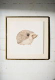 Hedgehog Art Print (6x6)