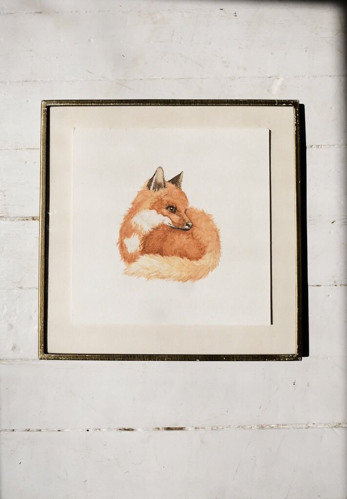Curled Up Fox Art Print (6x6)