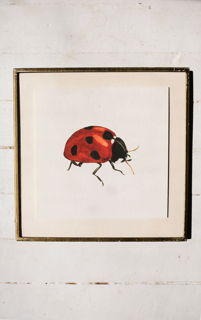 Ladybug Art Print (6x6)