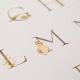 Pond Alphabet Print (12x18)