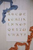 Cottage Alphabet Print (12x18)