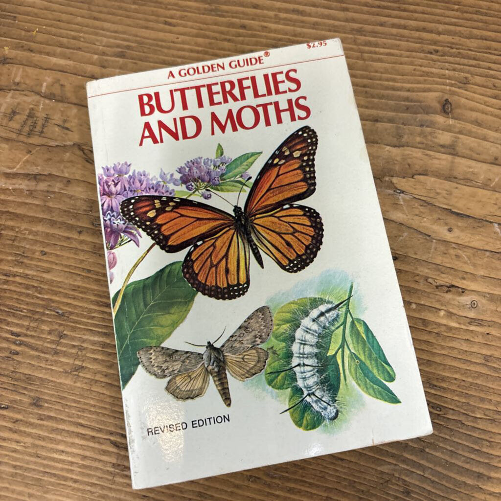Golden Guide to Butterflies and Moths