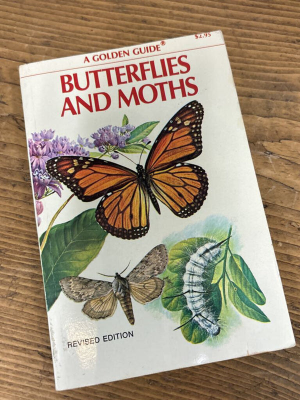Golden Guide to Butterflies and Moths