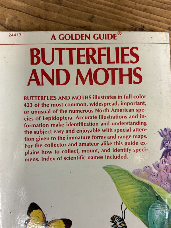 Golden Guide to Butterflies and Moths