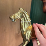 #343 Brass Horse