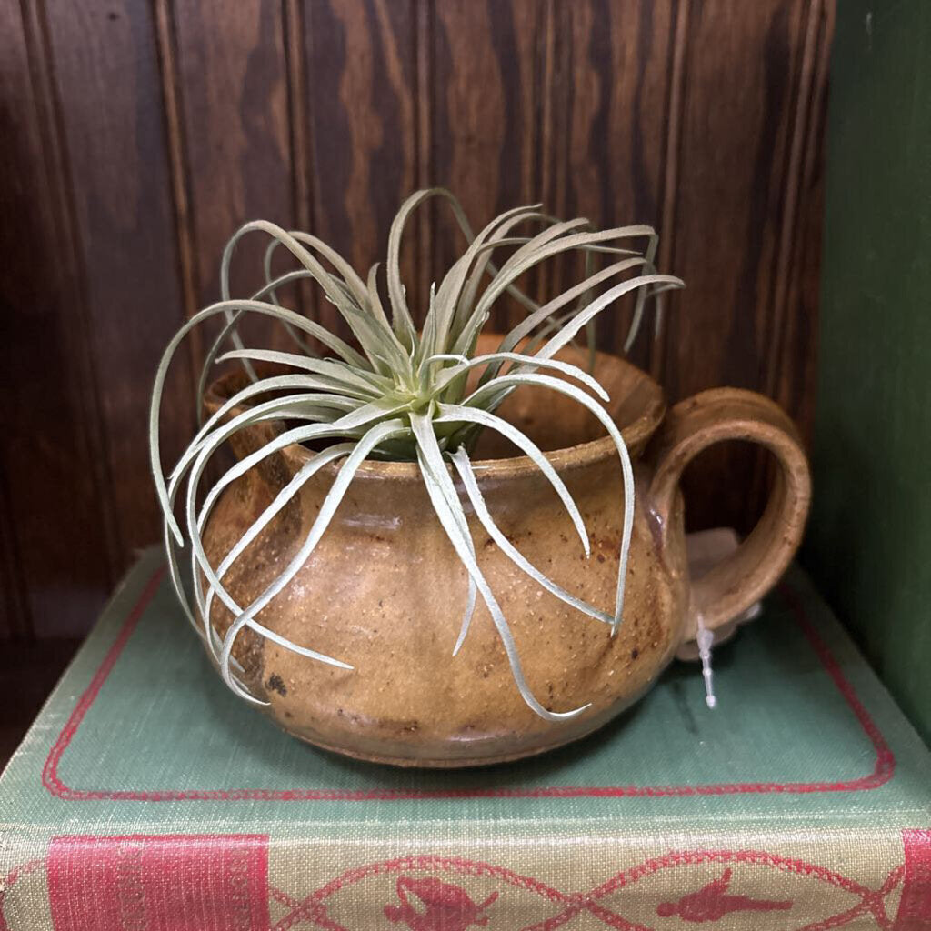 #378 Handmade Pottery Pitcher - Earth Toned Drip Glaze