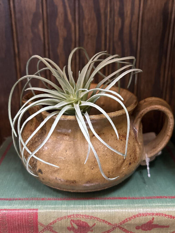 #378 Handmade Pottery Pitcher - Earth Toned Drip Glaze
