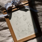 Frolicking Lambs Study (ORIGINAL Framed Sketch)