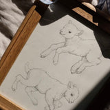 Frolicking Lambs Study (ORIGINAL Framed Sketch)