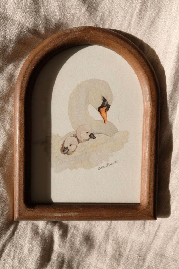 Swan & Cygnets *FRAMED*